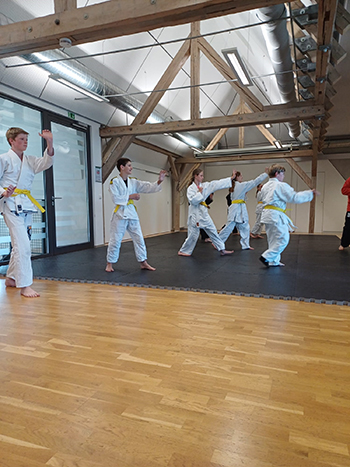 Neurid Jiu-Jitsu Club